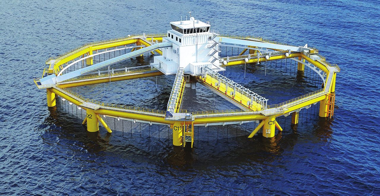 salmar-ocean-farm-1-sea-cage